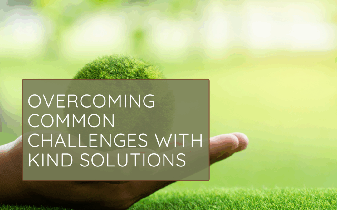 Common Challenges, Kind Solutions